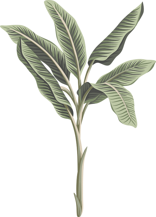 orn-bank