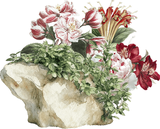 Ornament